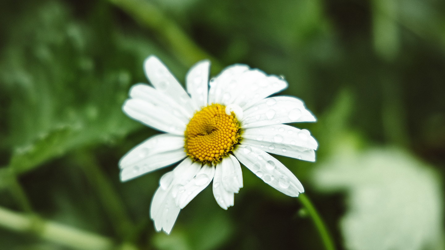 ff11d6db_20220414084122A092